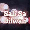 About Sali Sa Dilwali Song